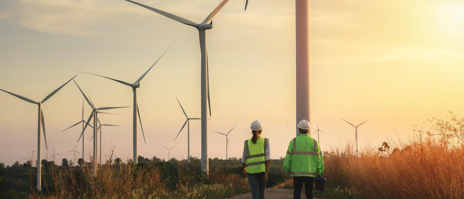 People walking along wind turbines 