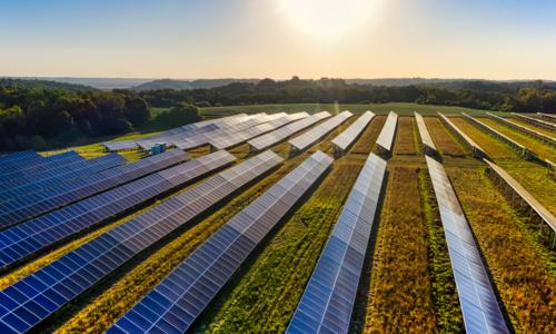 Solar farm 