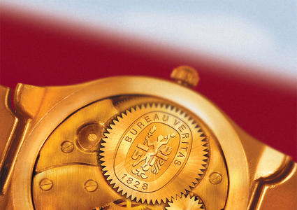 bureau veritas risk assesment