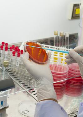 food laboratory