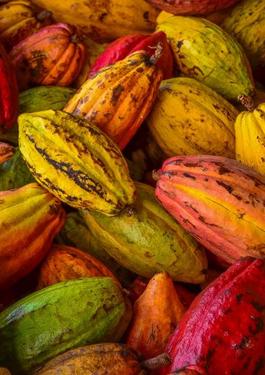 SUSTAINABLE DEVELOPMENT PROGRAM PICTURE