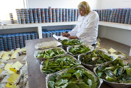 bureau veritas AGRI - LABORATORIES