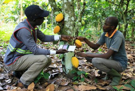 sustainable certification