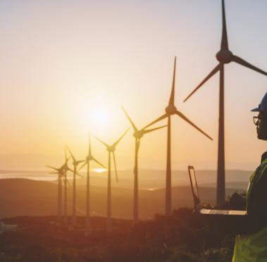 Bureau Veritas Renewables